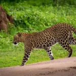 sri-lanka-12-l