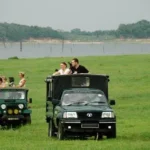 yala-safari (1)